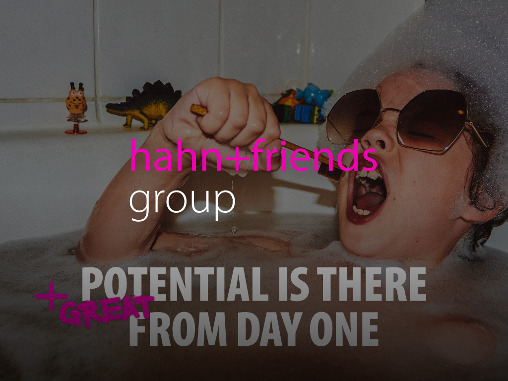 Projektmotiv: Hahn+Friends Group